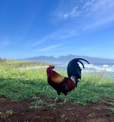 photo of Kristina C.