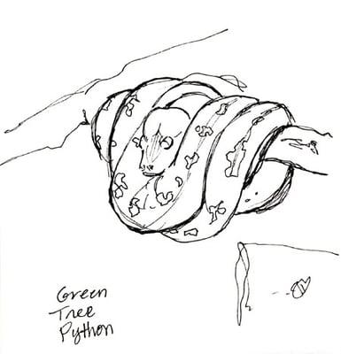 photo of Charlotte G.