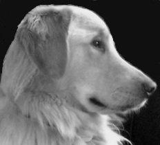 Photo of Angie F.