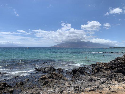 Photo of Michelle T.