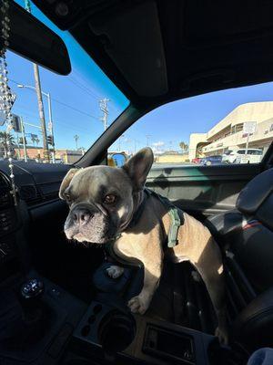 photo of Miguel A C.