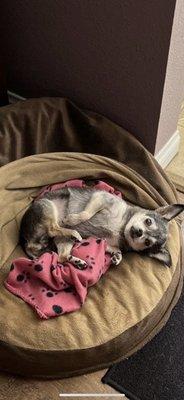 photo of Isabella F.