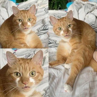 photo of Christian D.