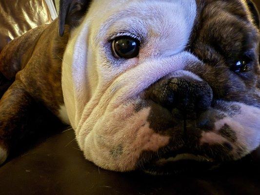 photo of bigloudshirt