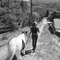 photo of Samantha S.