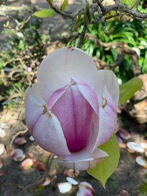 photo of Cristina U.