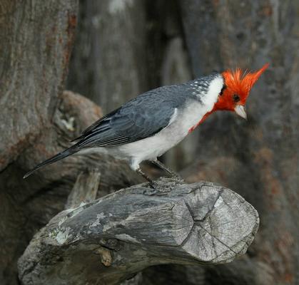 Photo of Ariane K.