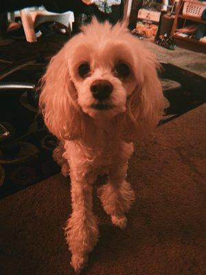 Photo of Cindy O.