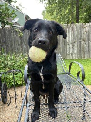 photo of Caroline C.