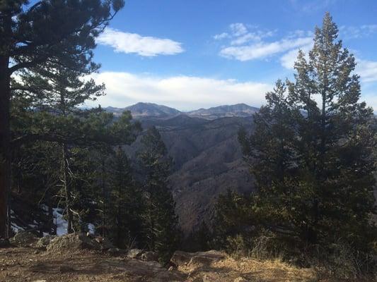 photo of Michelle F.