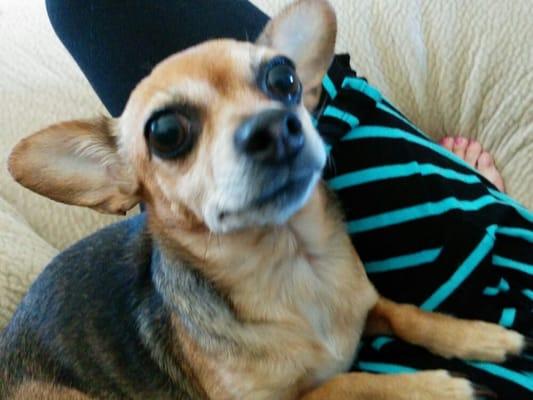 Photo of Cherie... R.