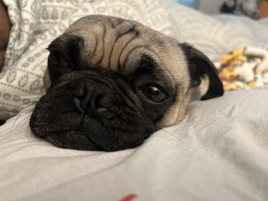 photo of Yaritza Christina D.