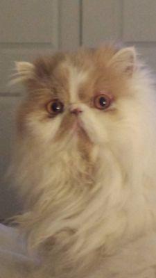 photo of Catherine B.