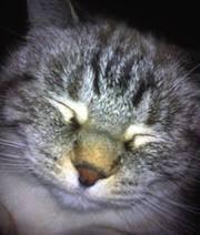photo of Deidre E.