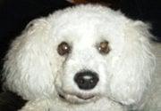 Photo of Michele C.