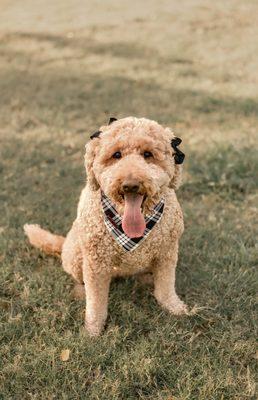 photo of Kimberly F.