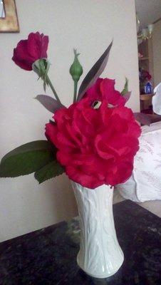 photo of Patricia K.