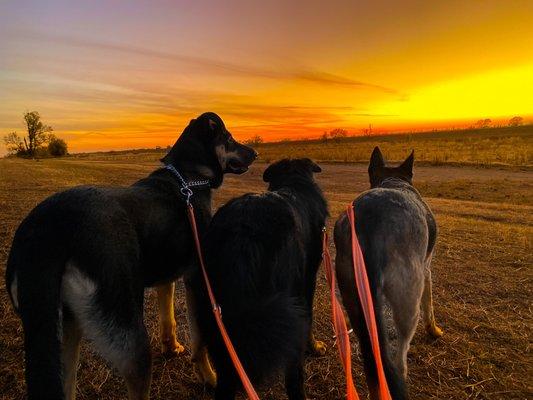 photo of Elizabeth A.