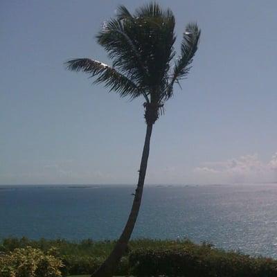 photo of Bradford D.