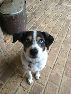 Photo of Susie M.