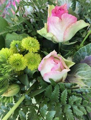 photo of Savannah M.