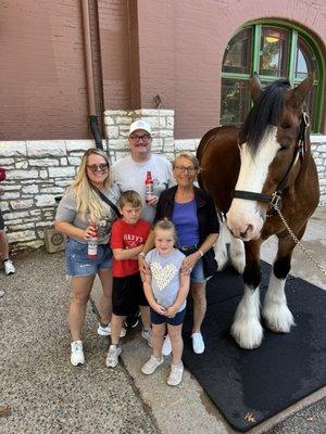 photo of Mary Ann M.