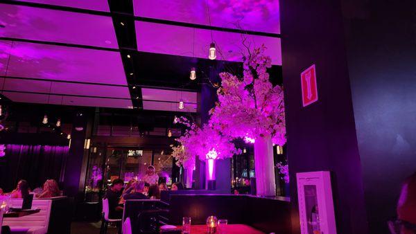 photo of Sherffon B.