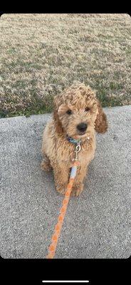 photo of Gabrielle I.