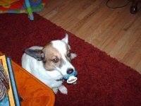 photo of Kristine L.