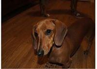 Photo of Ollie C.