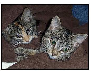 photo of Gretchen S.