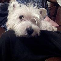 photo of Scarlet C.