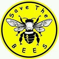 Photo of Melissa Joy M.