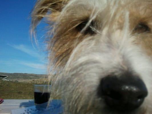 Photo of Cindy B.