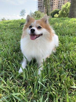 photo of Yevgeniya S.