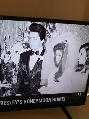 photo of Tigerlily S.