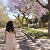 Photo of Tae C.
