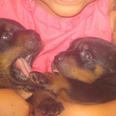 photo of Elizabeth B.