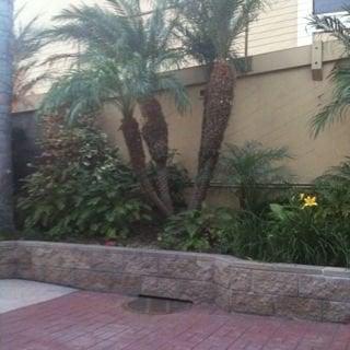 photo of Jennifer S.