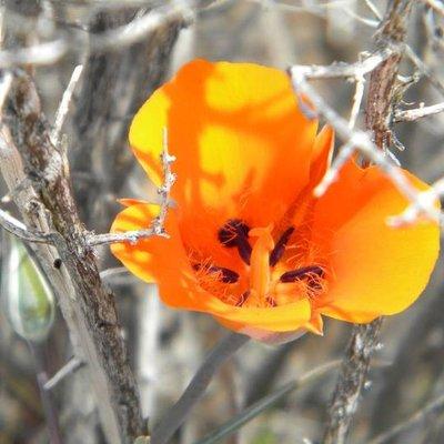 photo of Jeannette B.