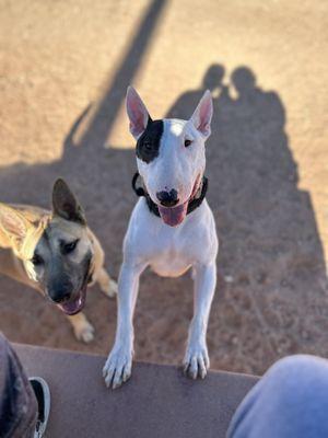 Photo of Kierstin M.