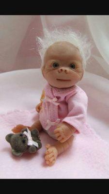 photo of Catterwaulace J.