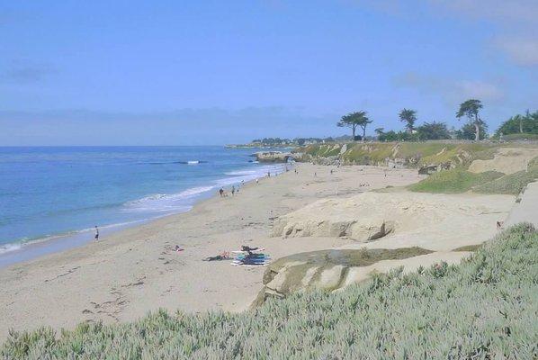 photo of Michelle B.