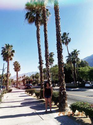 photo of Kourtney H.