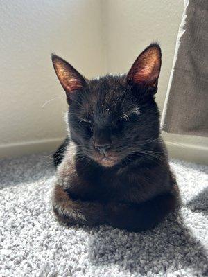 photo of Angelina C.