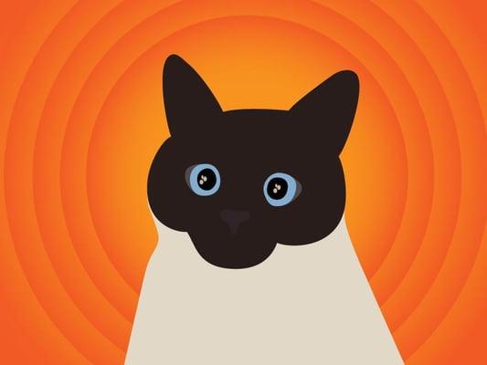 photo of Stealing S.