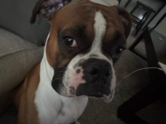 photo of Dominique S.