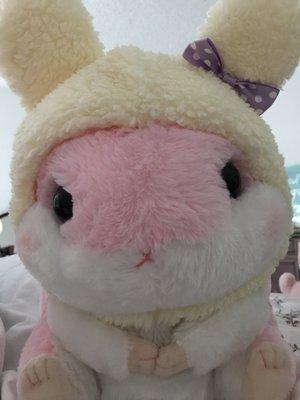 photo of Jacqueline O.