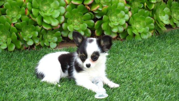 photo of Catherine N.