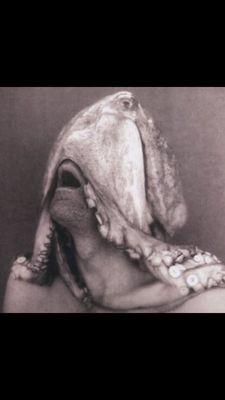 Photo of Lishan S.